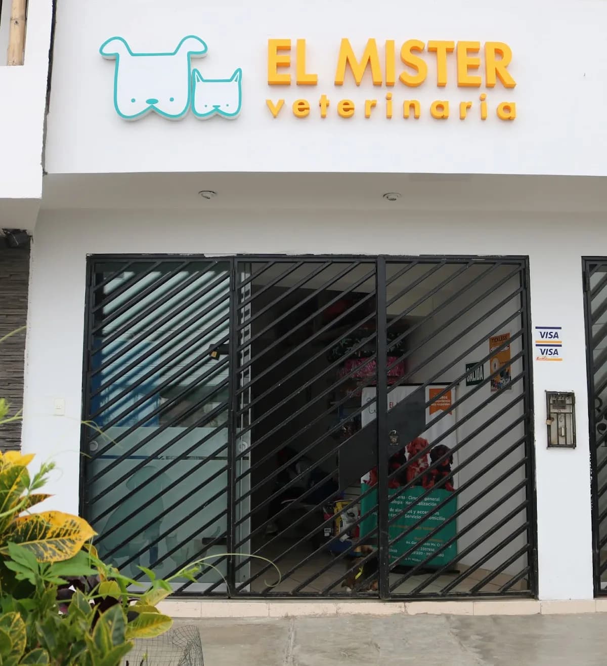 Veterinaria El Mister