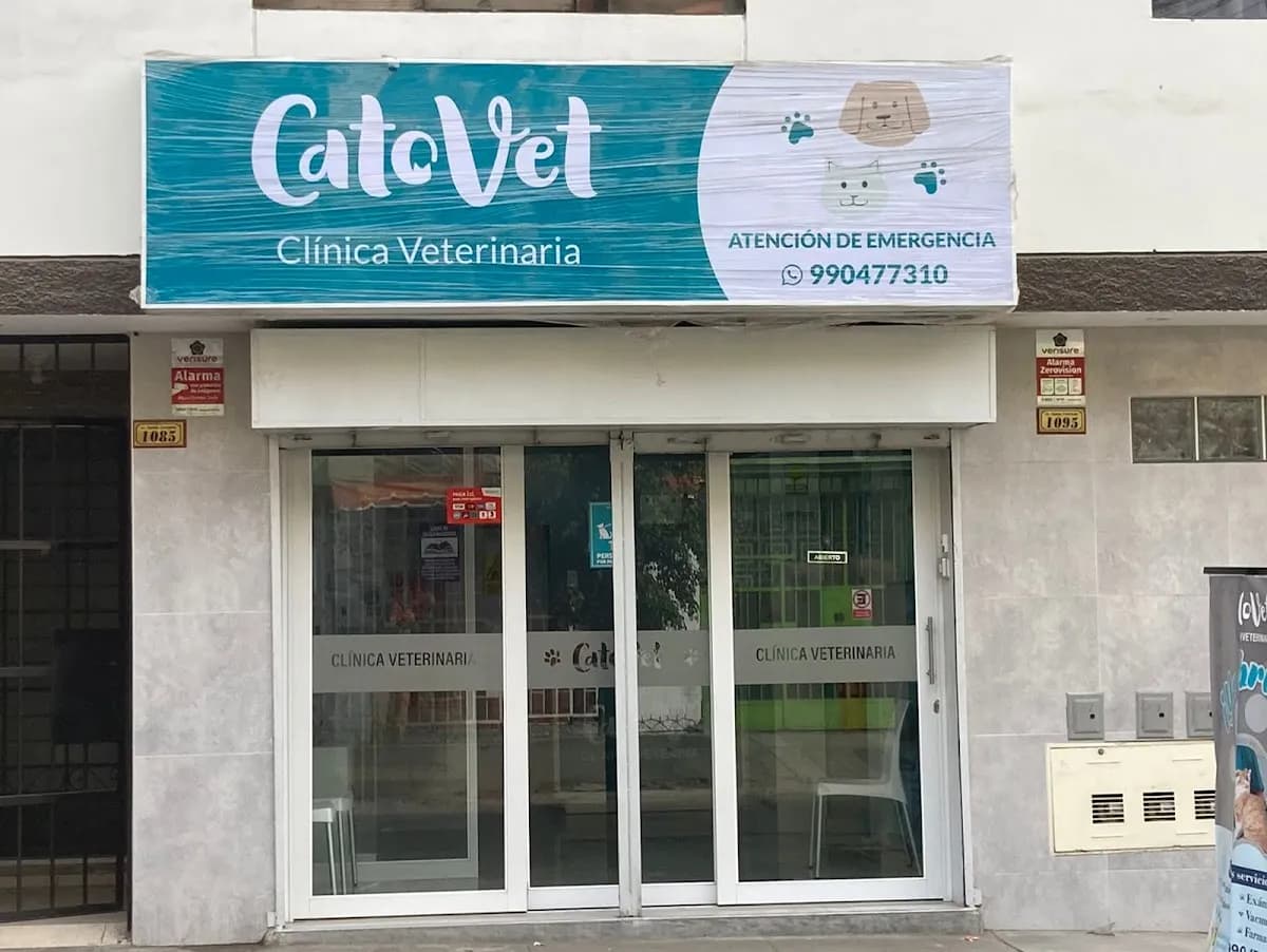 CatoVet