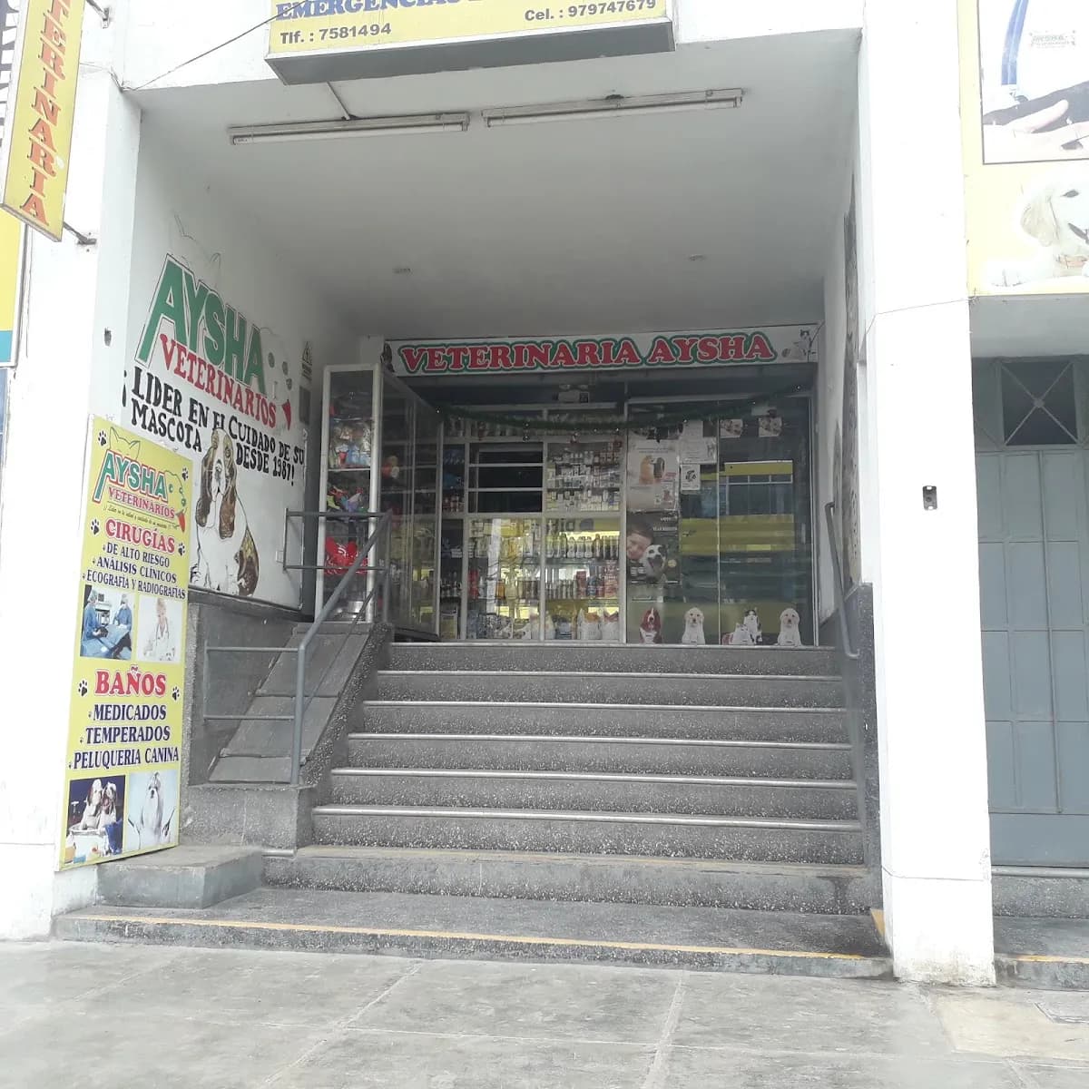 AYSHA VETERINARIOS