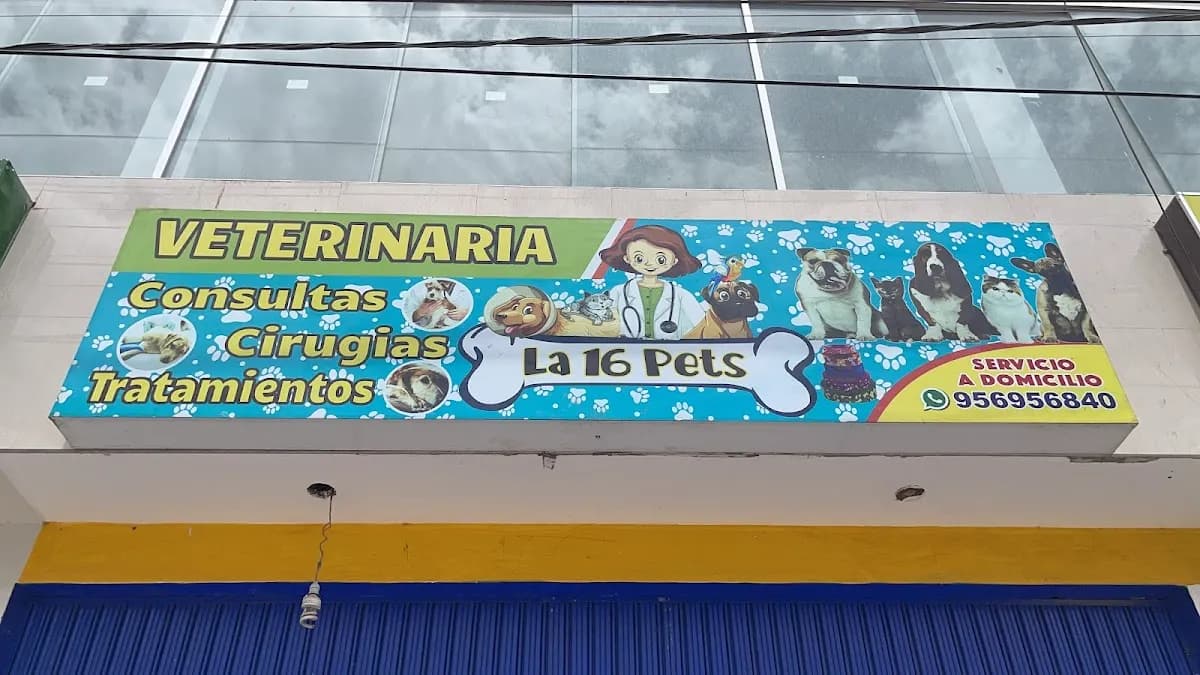 Veterinaria La 16 Pets