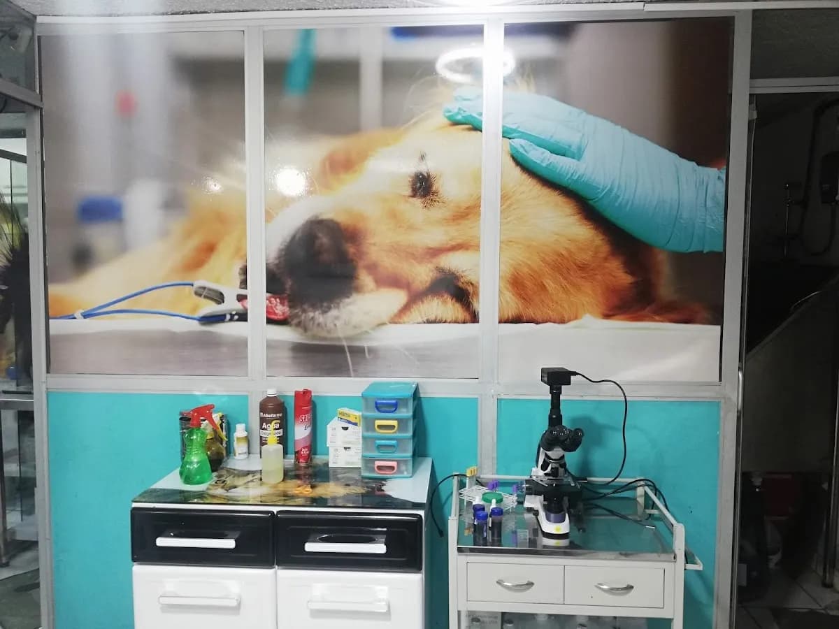 Veterinaria D'Pelos