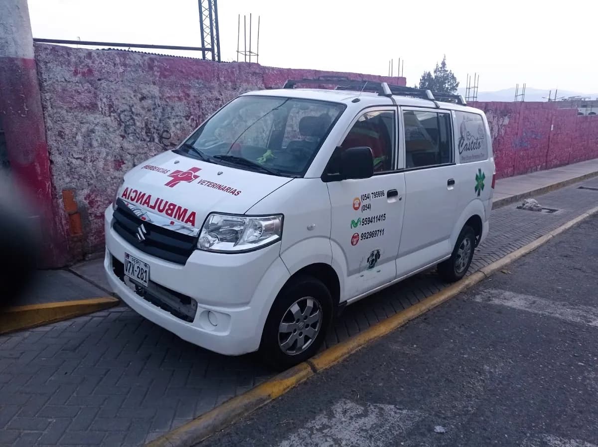 Centro Veterinario