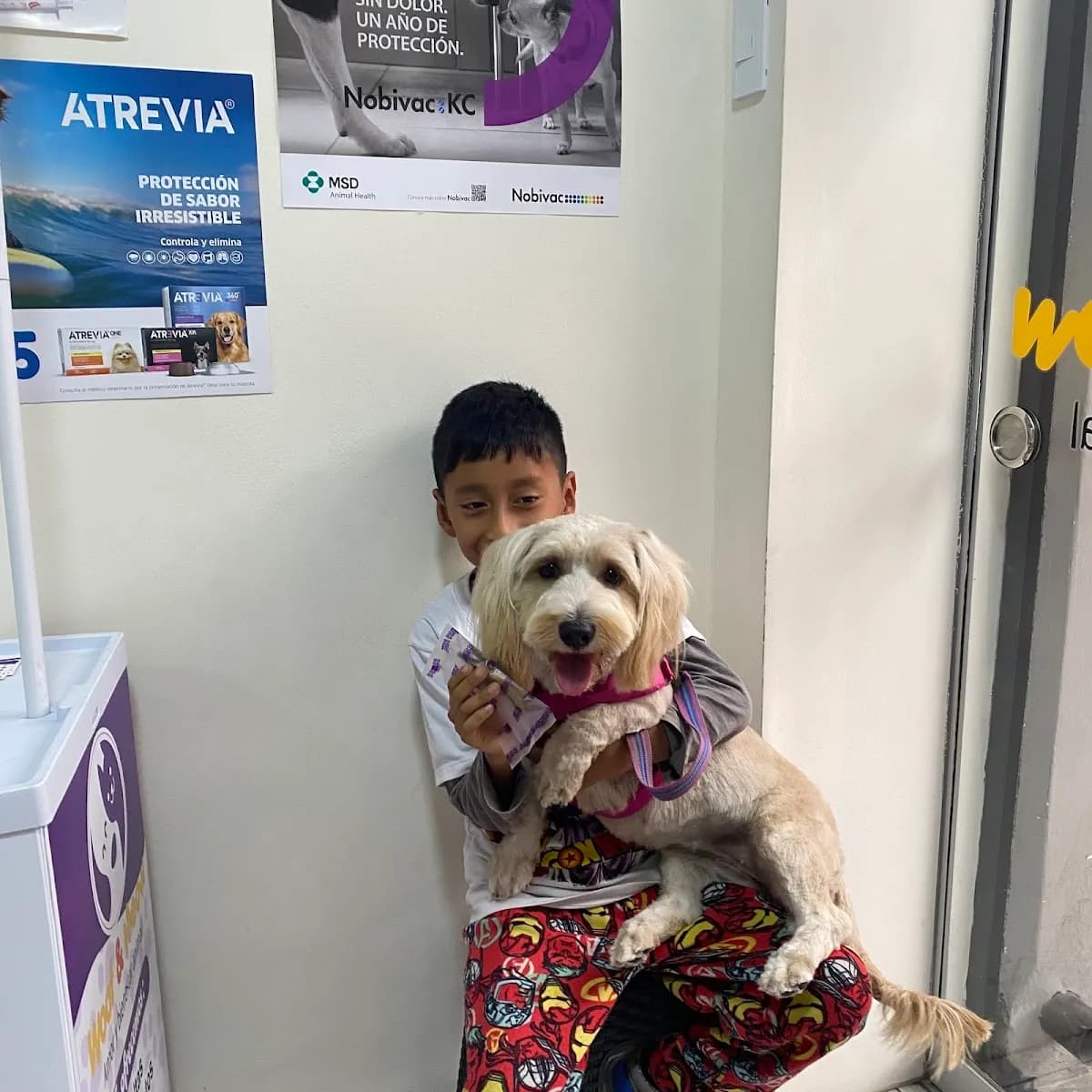 Veterinaria Woof & Meow