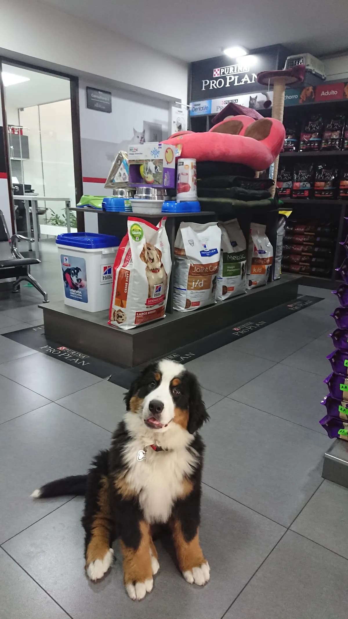 Pets Place