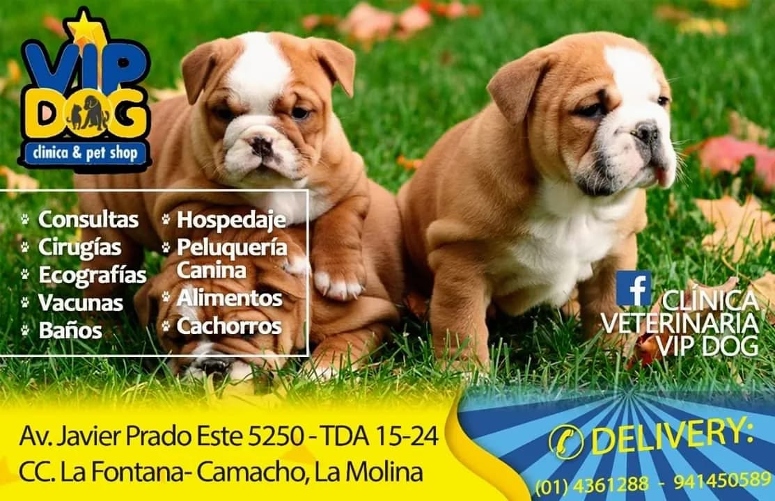 Veterinaria Pet Friend