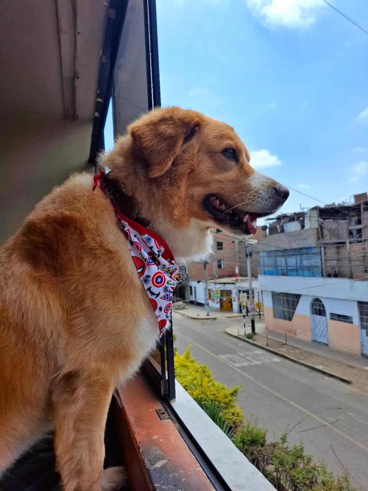 VETERINARIA SAN JOS'E