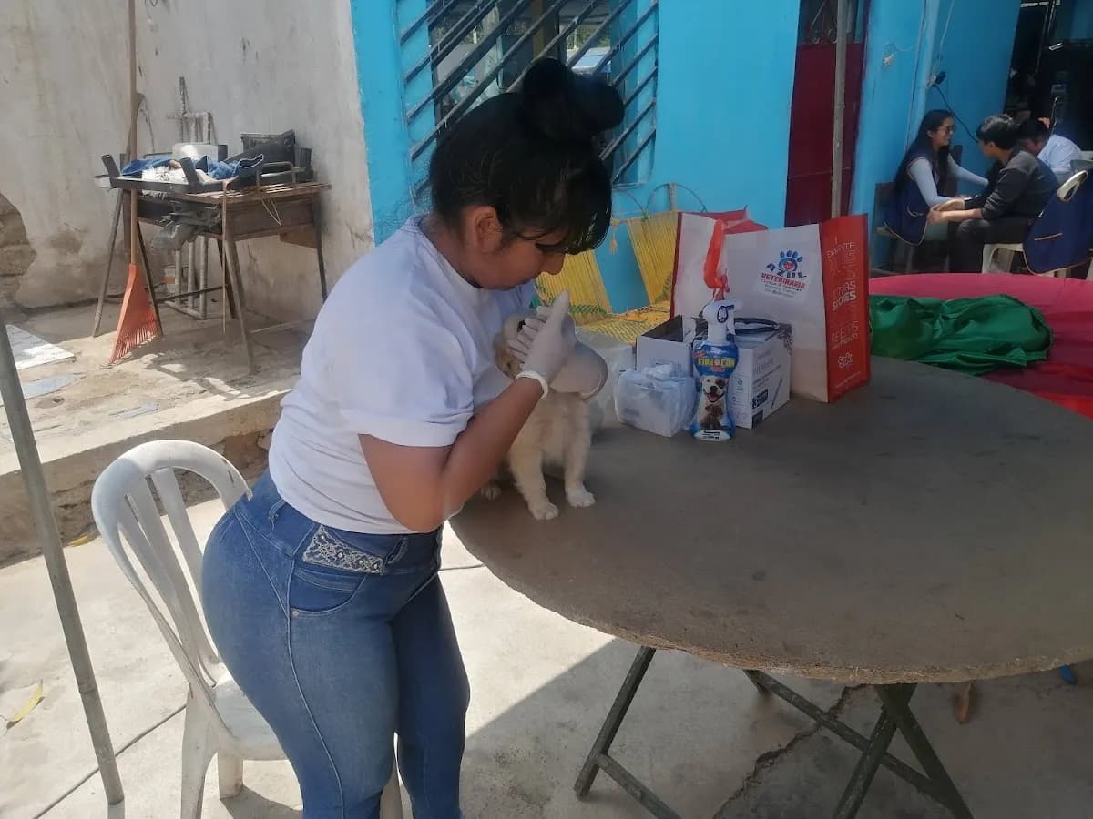 Veterinaria "Azul"