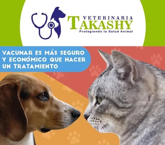 Veterinaria Takashy