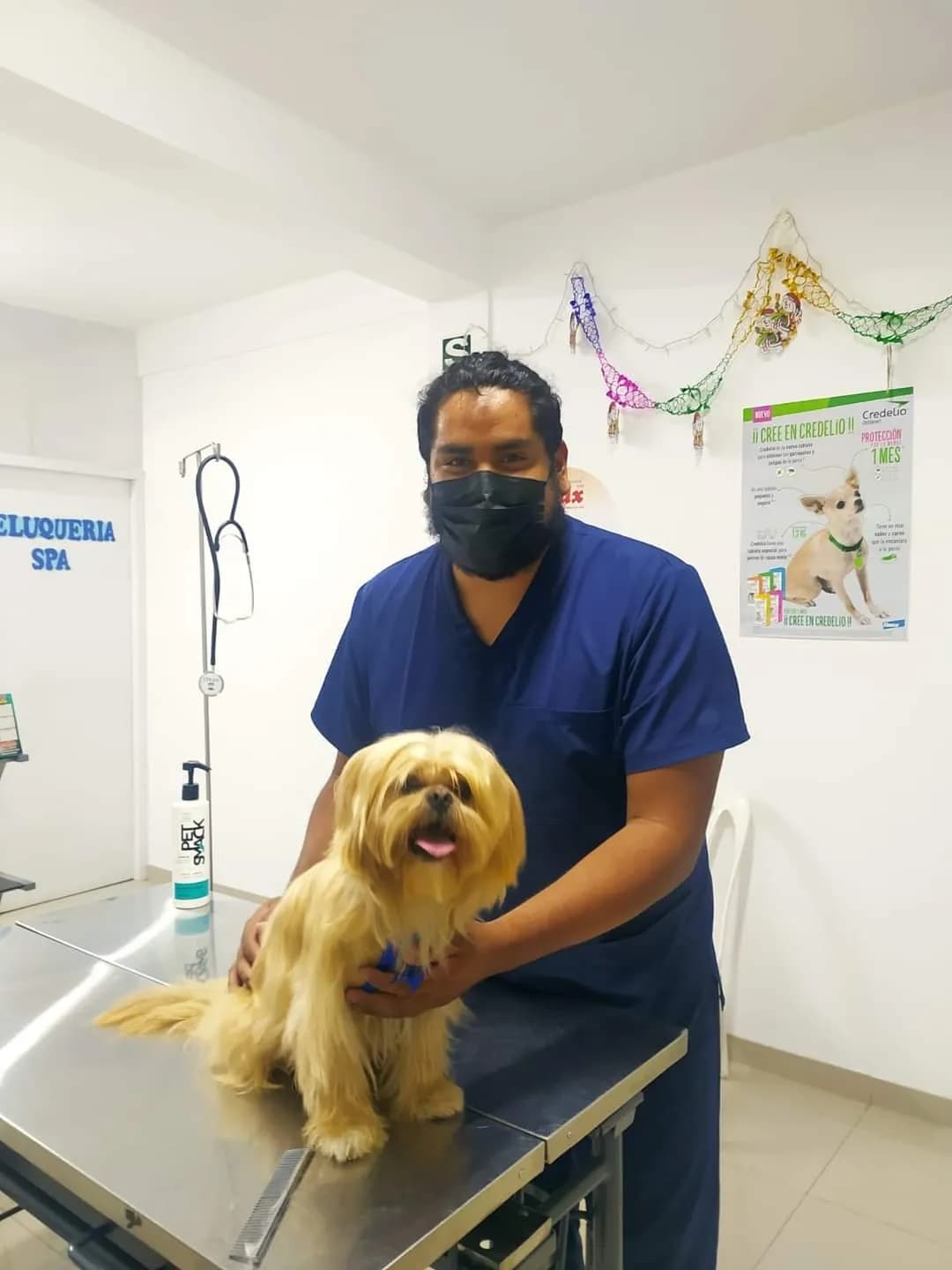 Veterinaria PetiPet