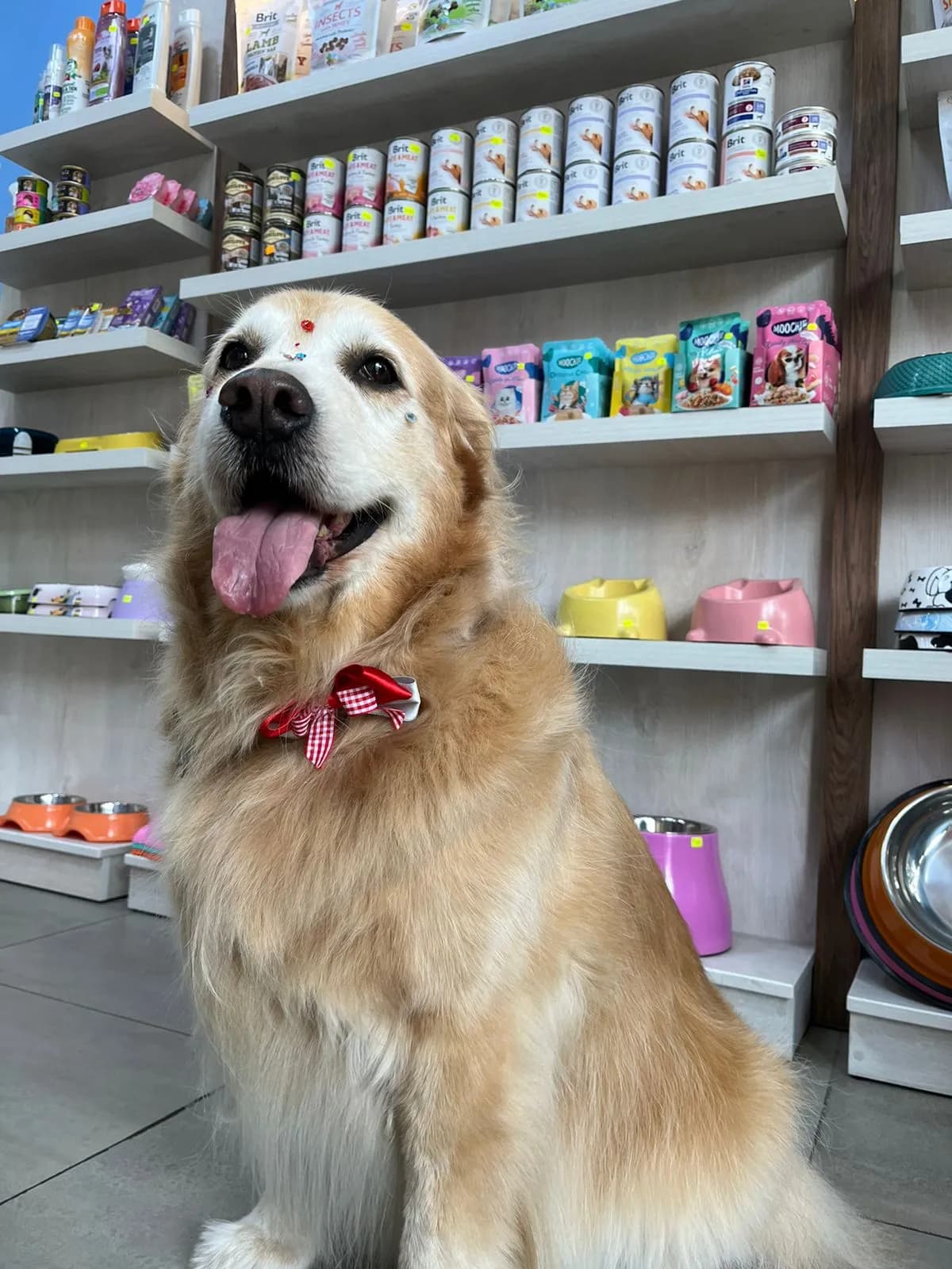 MascoPlay Spa