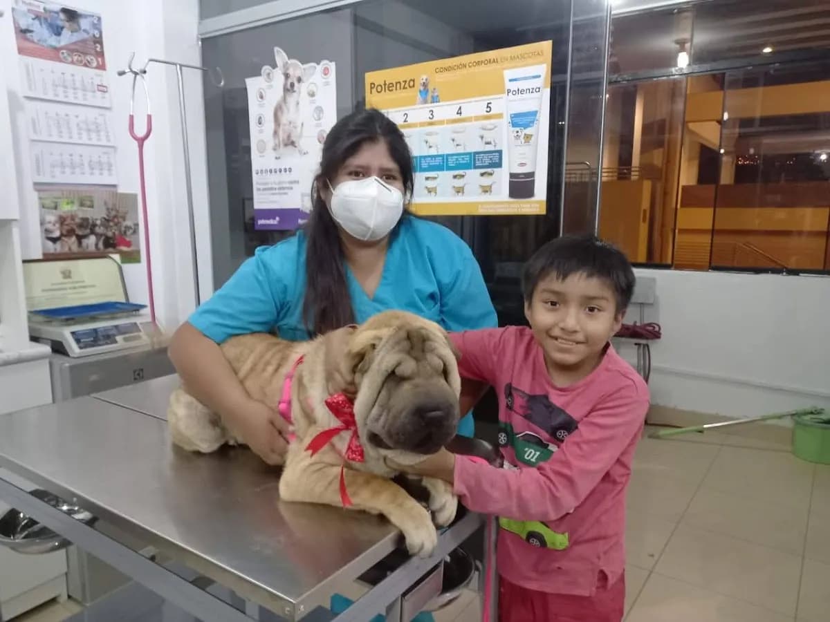 Veterinaria Sama Sjl