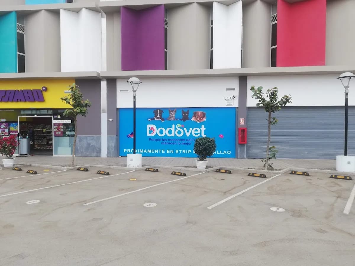 Dodovet