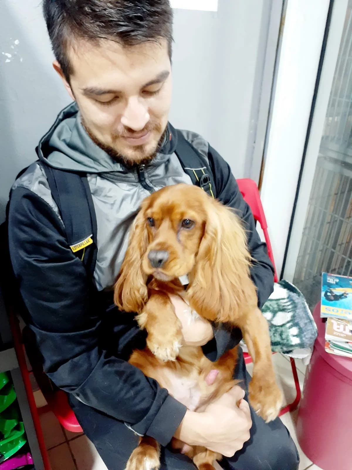 Veterinaria PARDOS VET