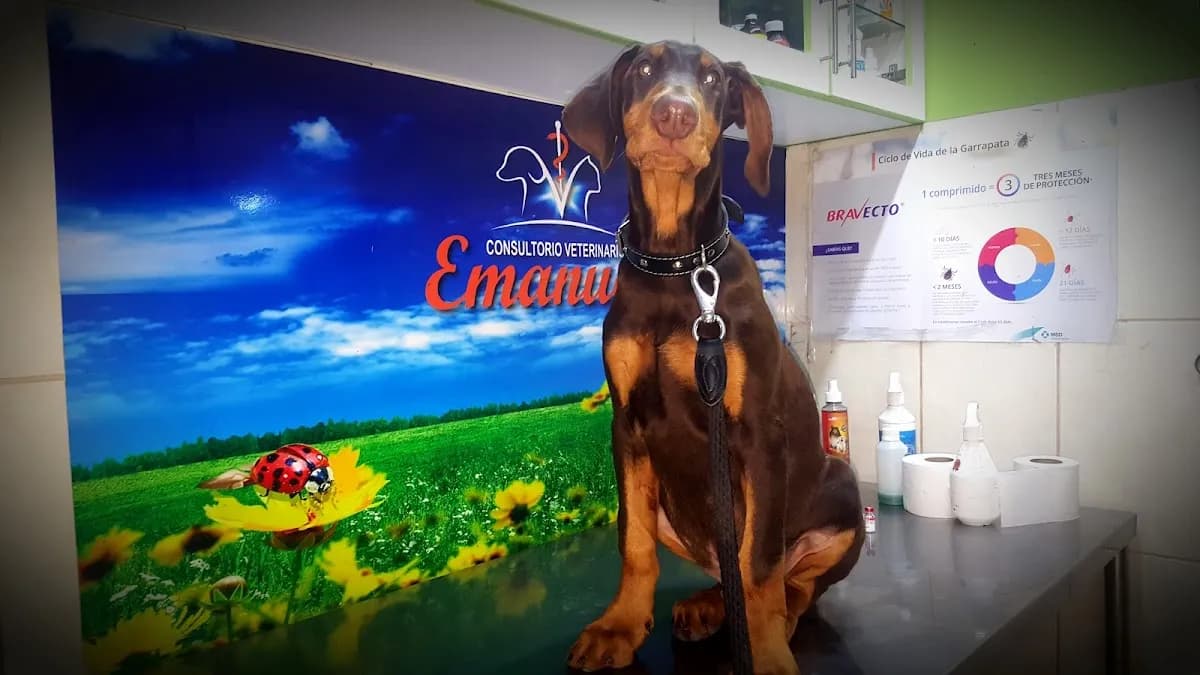 Veterinaria Emanuel