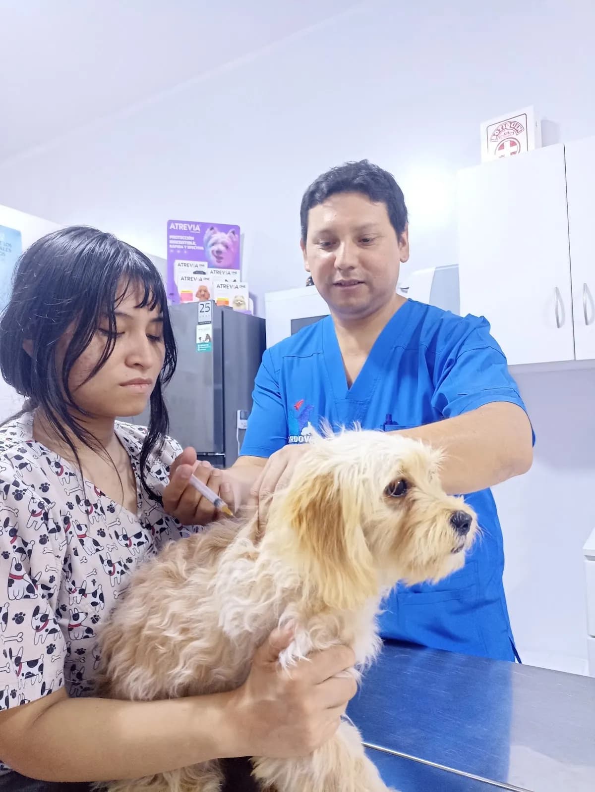 Veterinaria Cordova