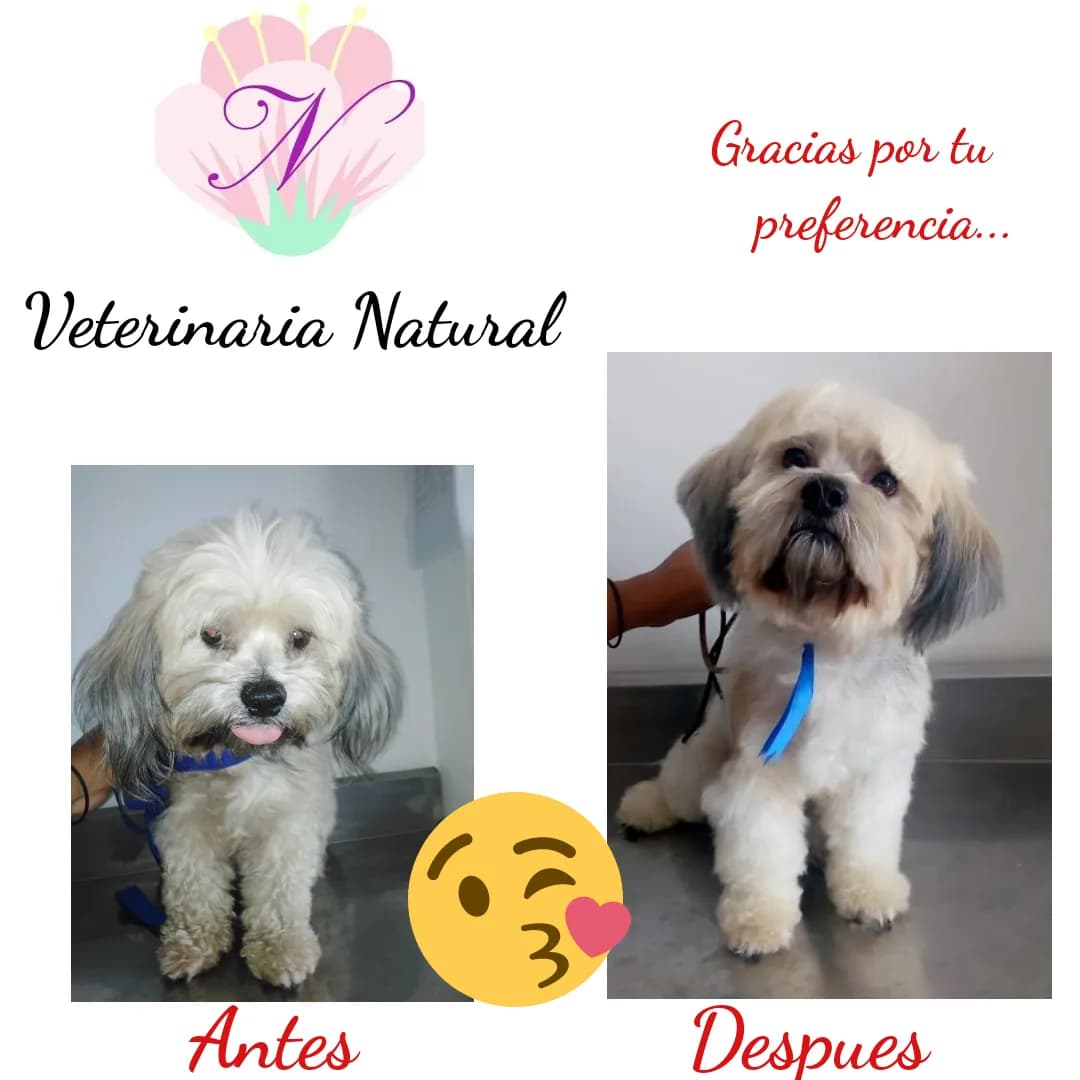 Veterinaria natural