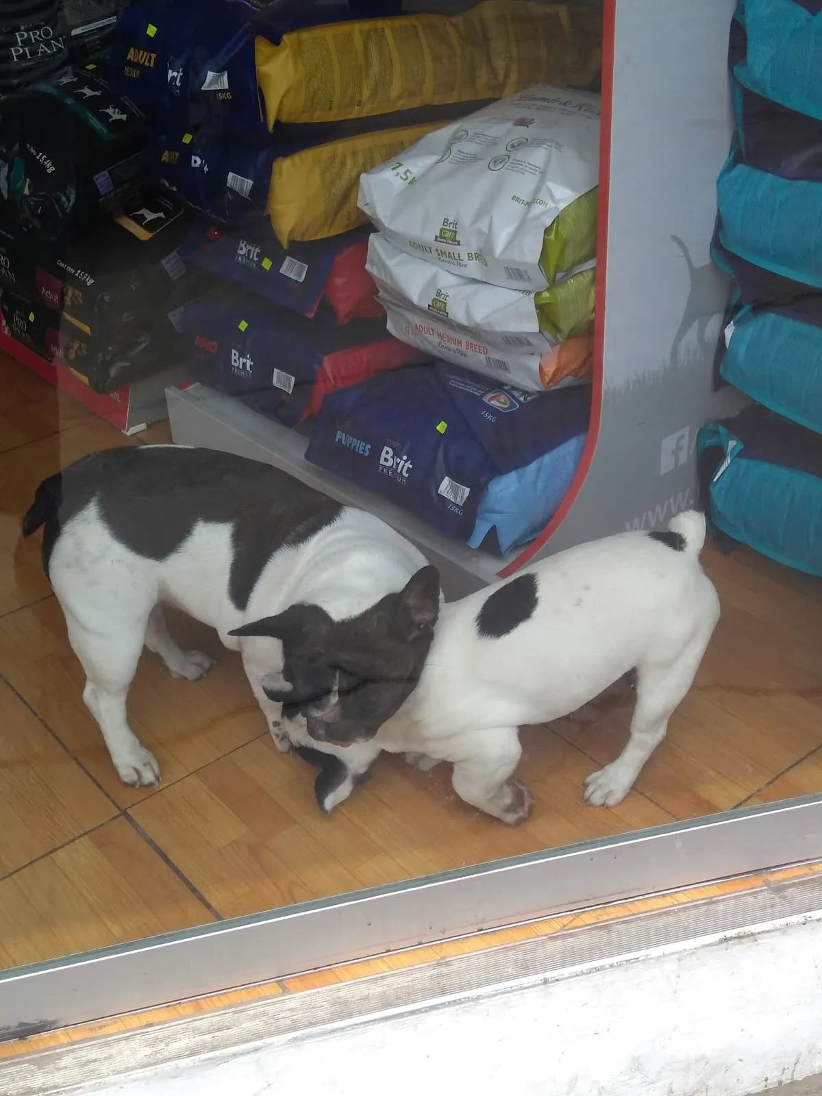 VetClinic