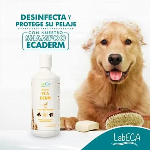 PET Shop Cuatro Patas