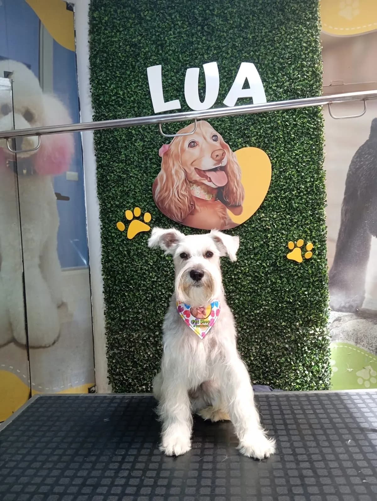 Lua Pet Shop