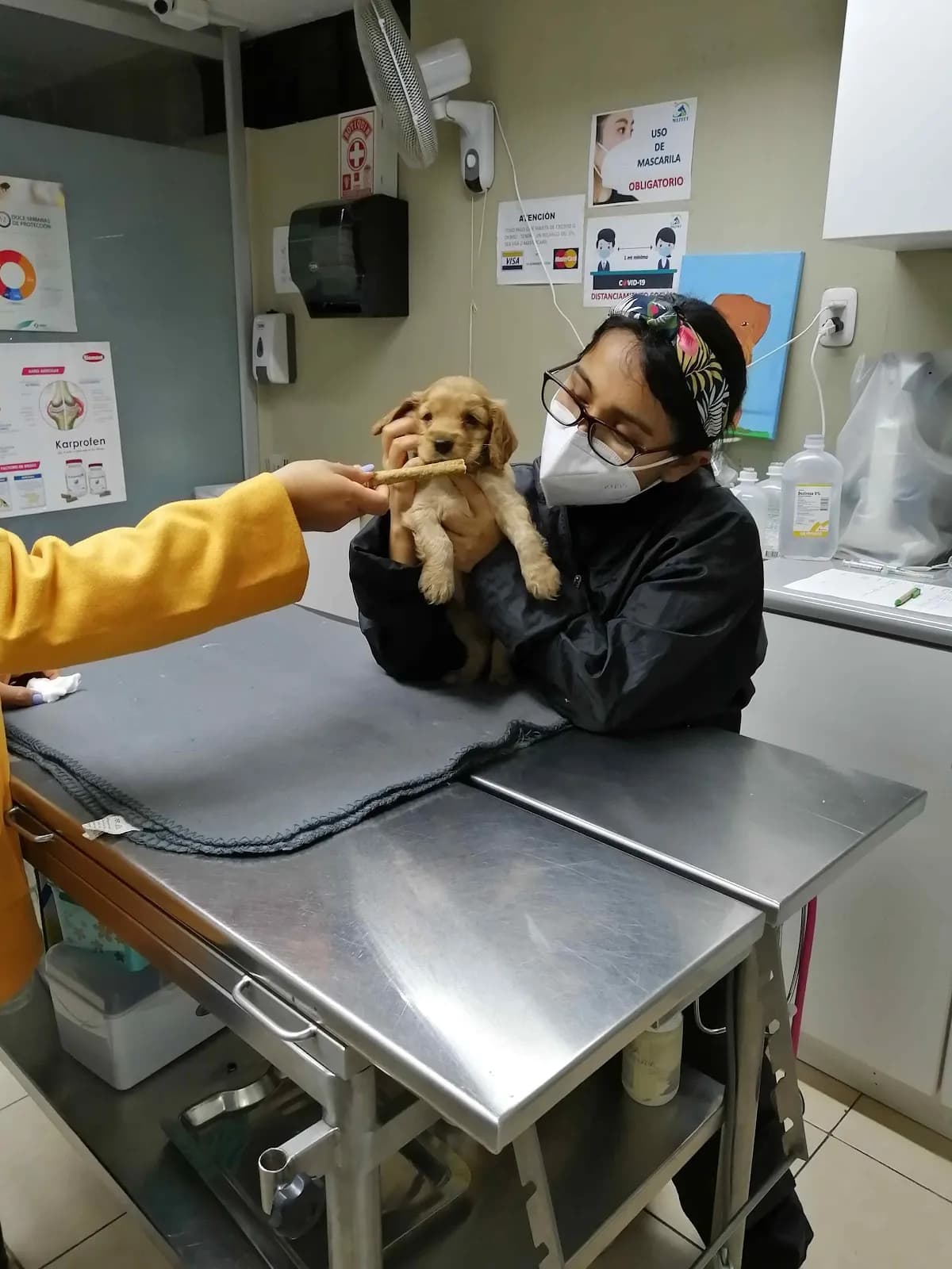 VETERINARIA MAZVET