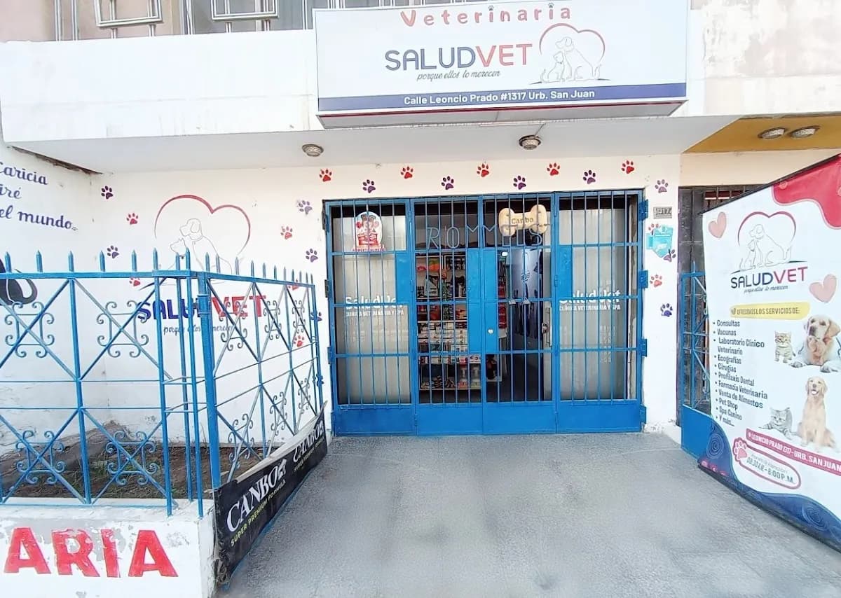 SALUDVET VETERINARIA