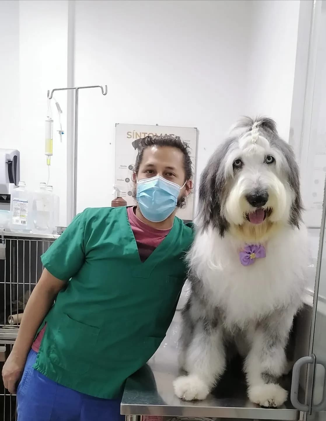 VETERINARIA LOTSO