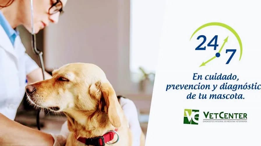 Vet Center