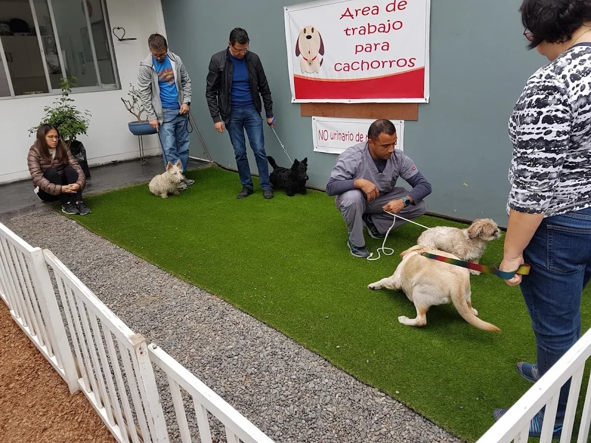 Veterinaria Zenpaku