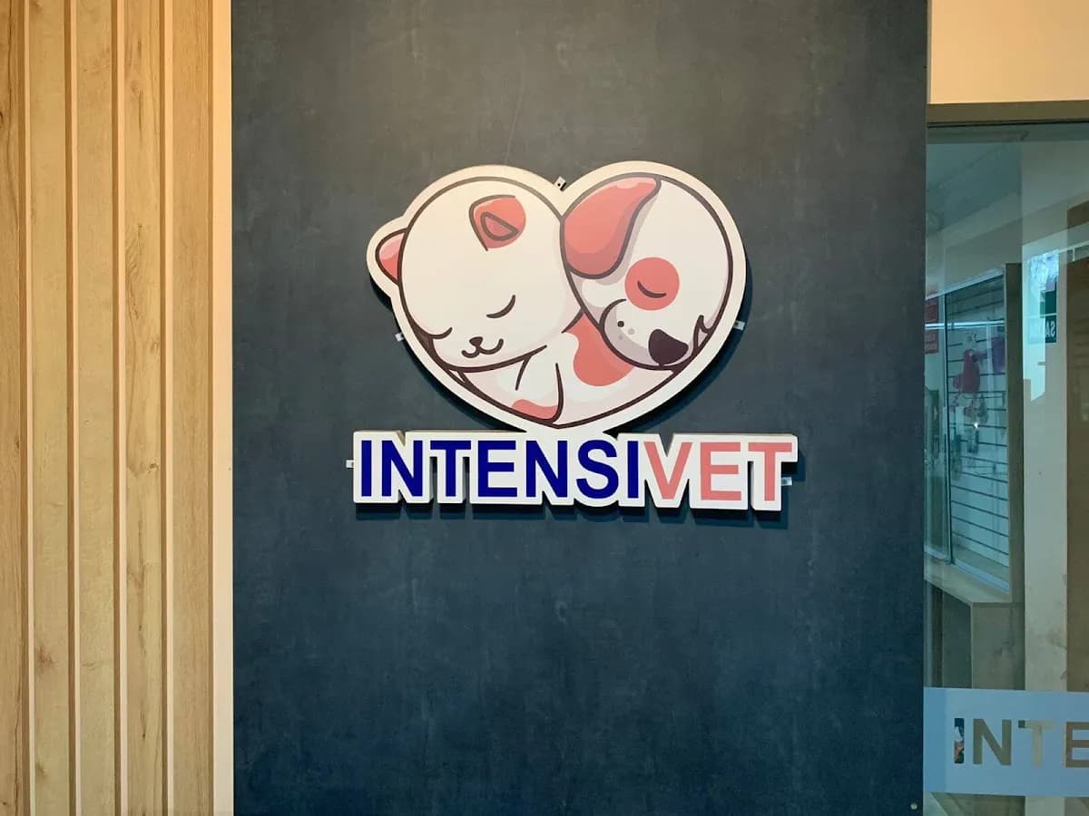 Intensivet