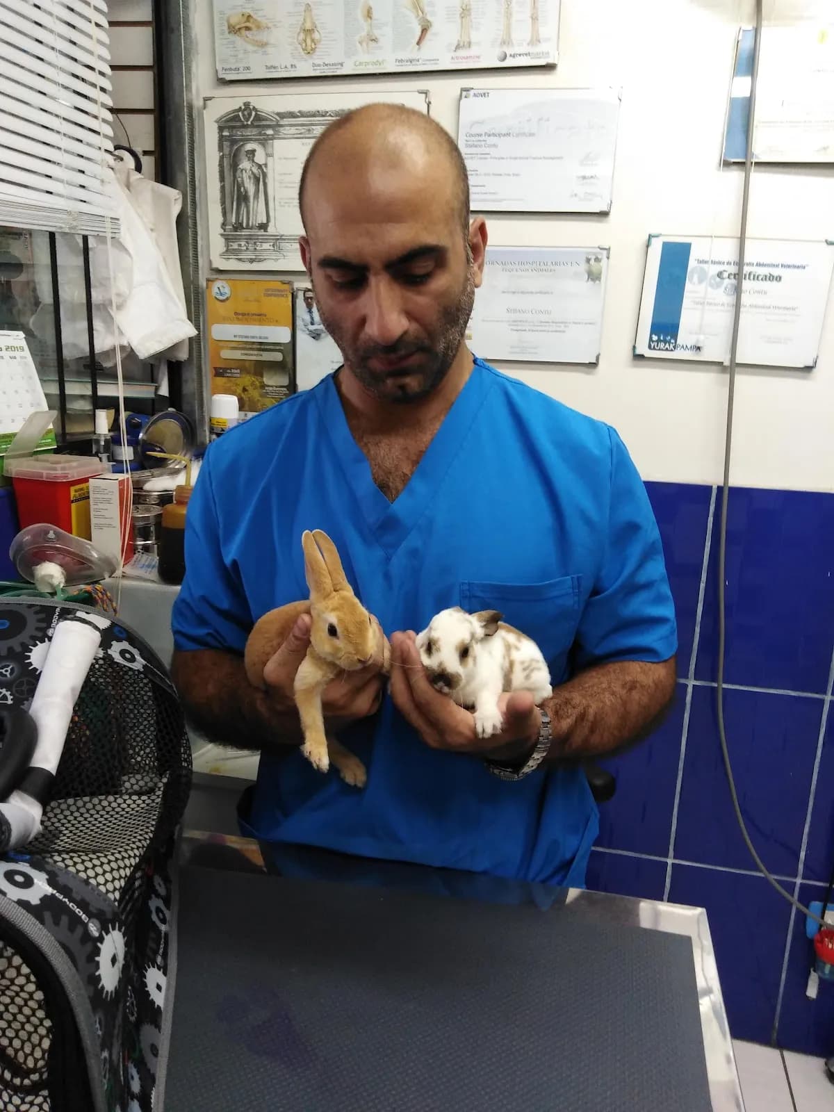 Veterinaria "Italvett"