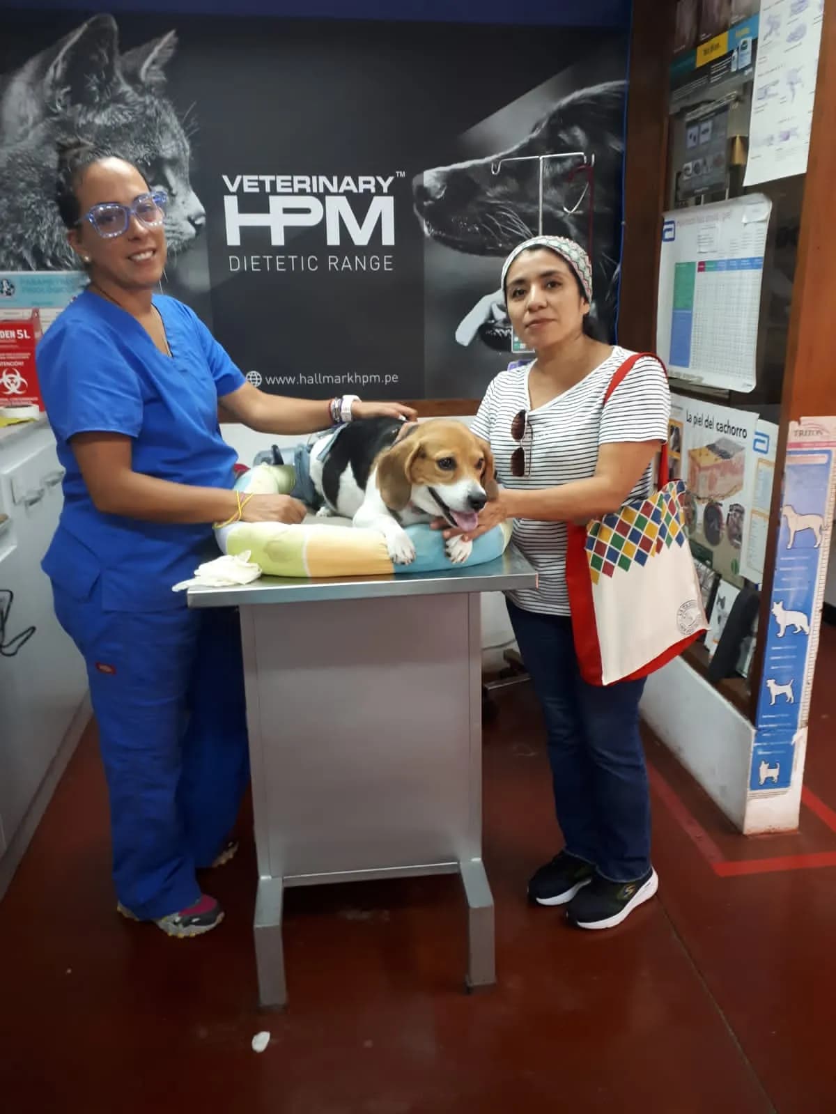 Veterinaria 922