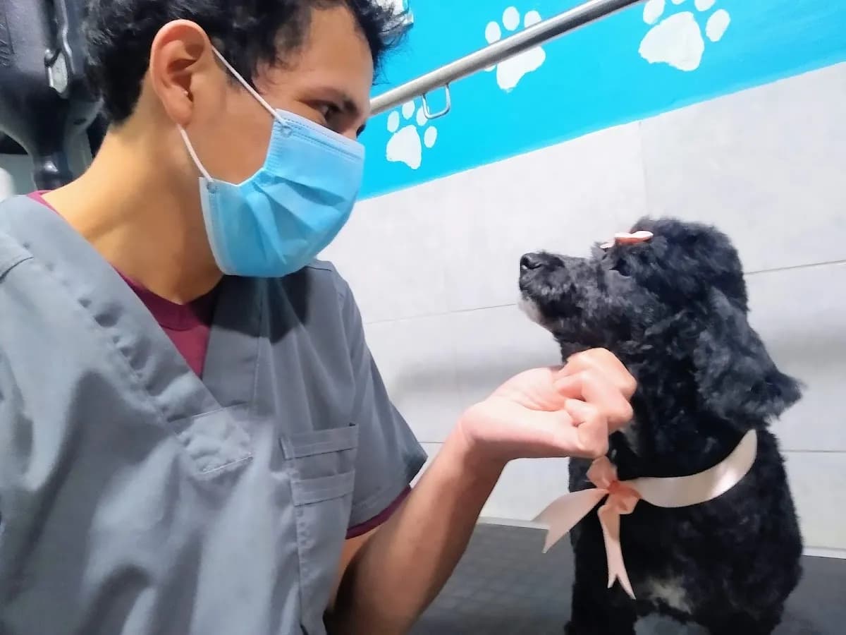 Veterinaria Sam Vet