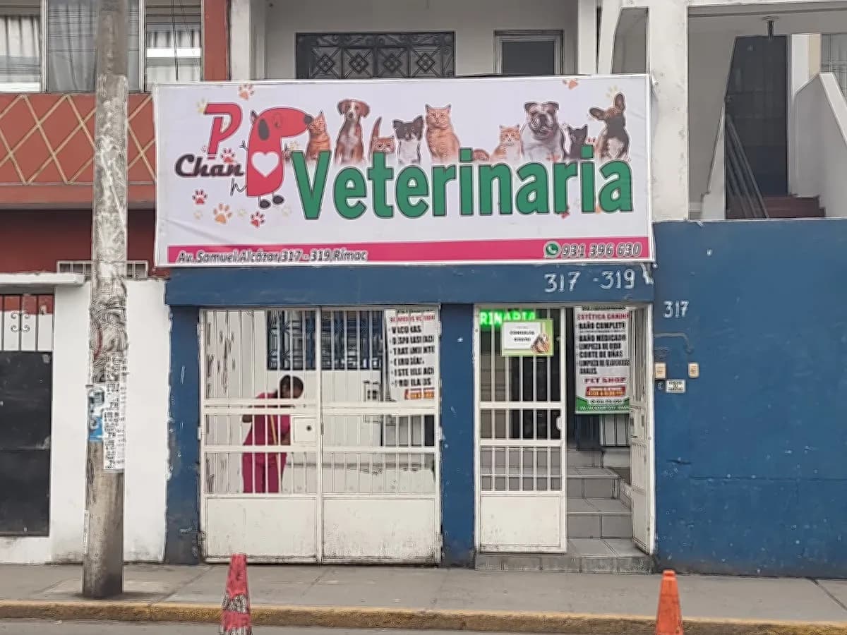 P-Chan Veterinaria