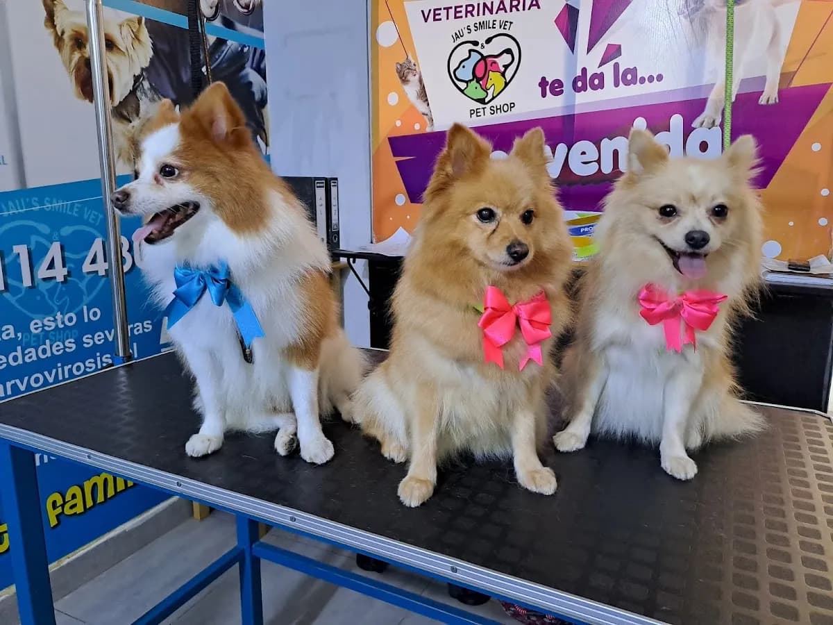 MUNDO PETKIND VET