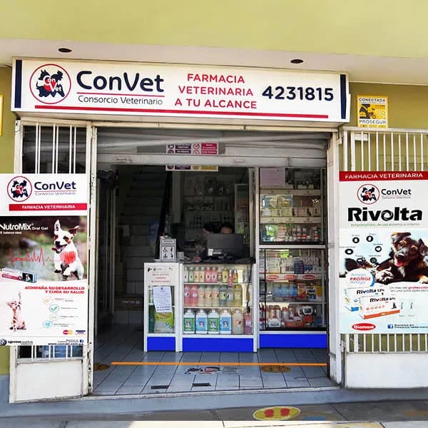 Convet - Santa Beatriz