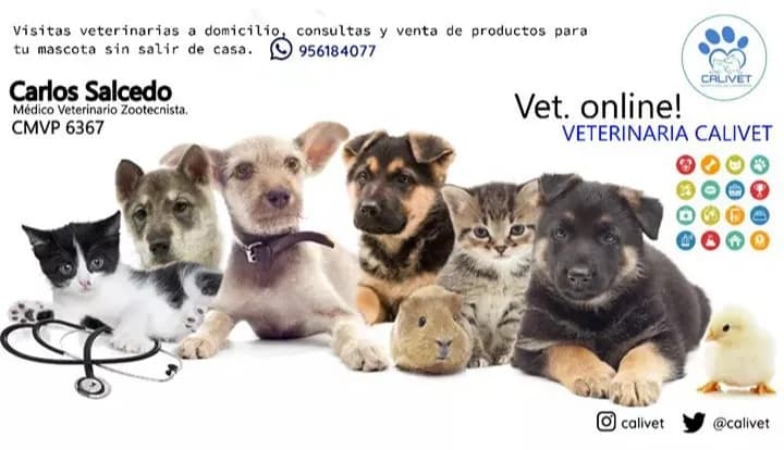 VETERINARIA CALIVET