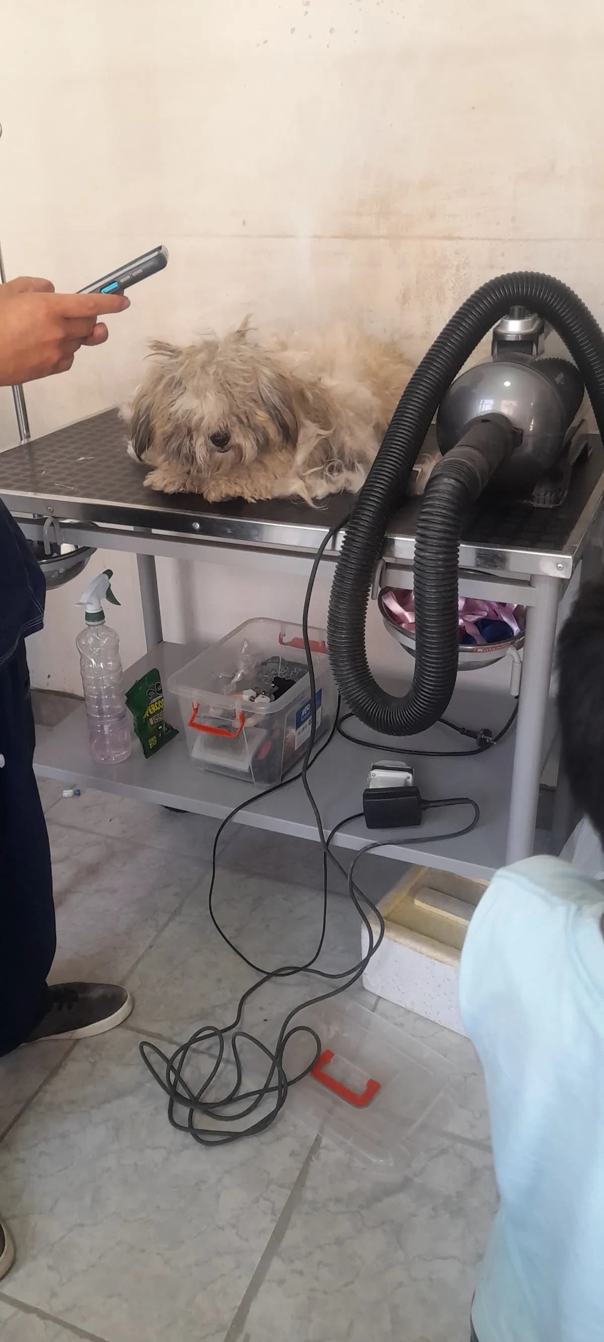 Pet Home