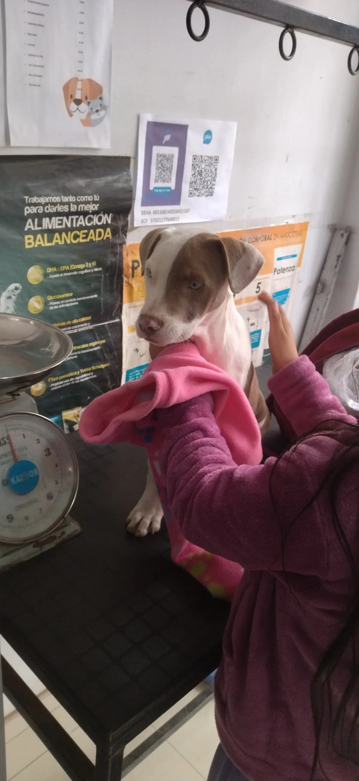 Veterinaría Canipets