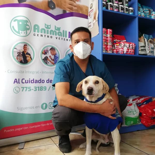 Veterinaria Animallmed