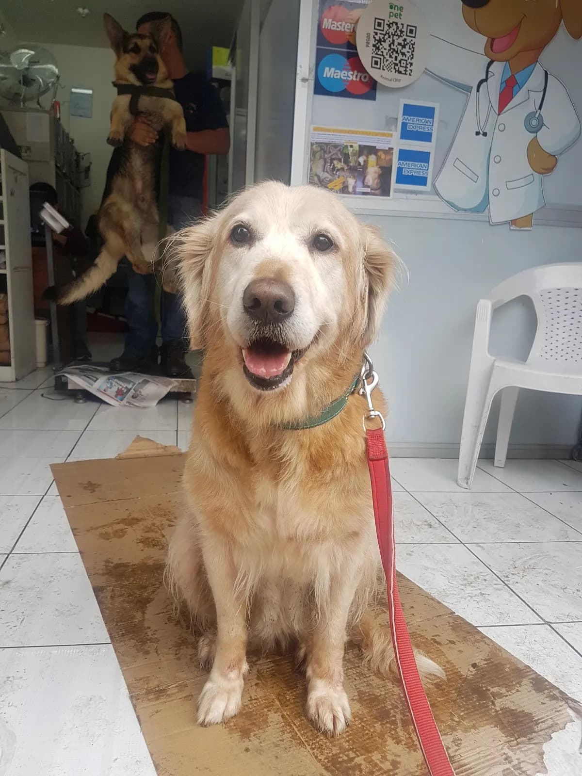 Veterinaria Montero