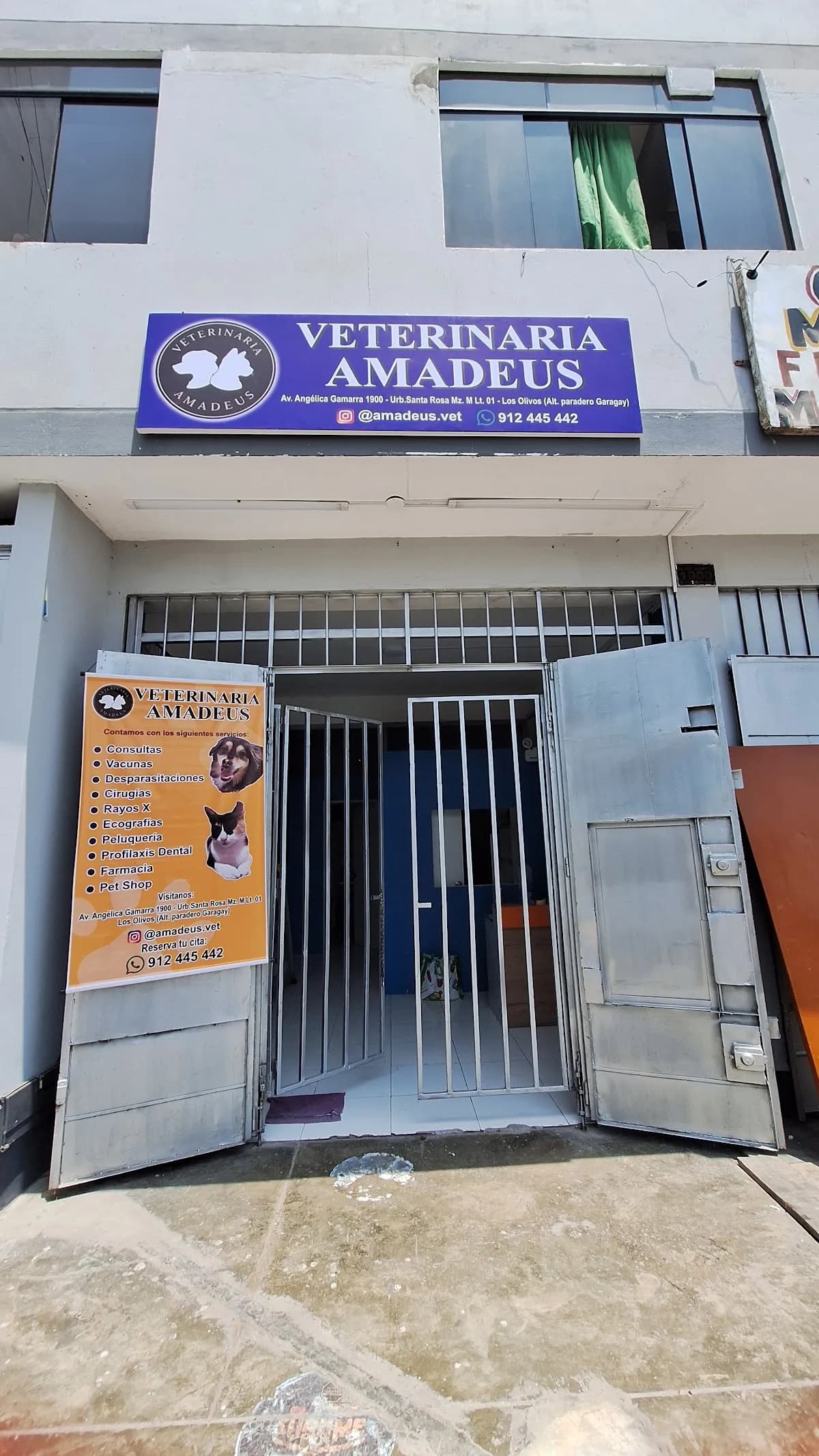 Veterinaria Amadeus