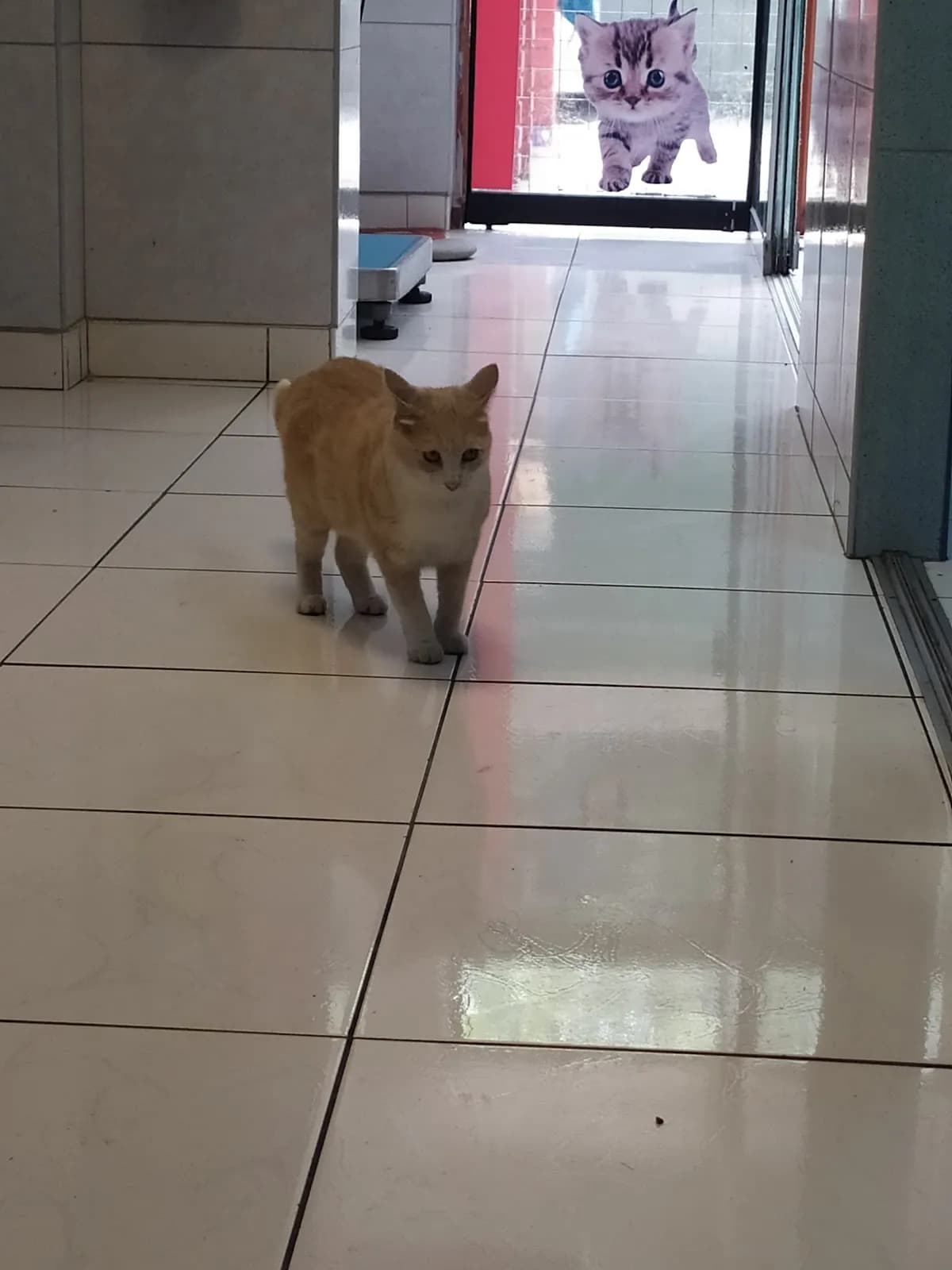 Ai Pets