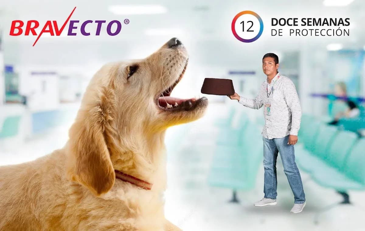 Animalvet