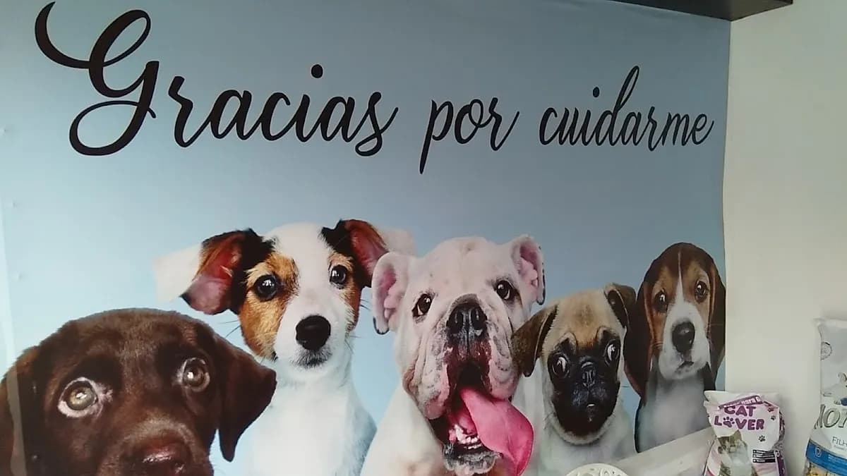 Veterinaria Lua's VET