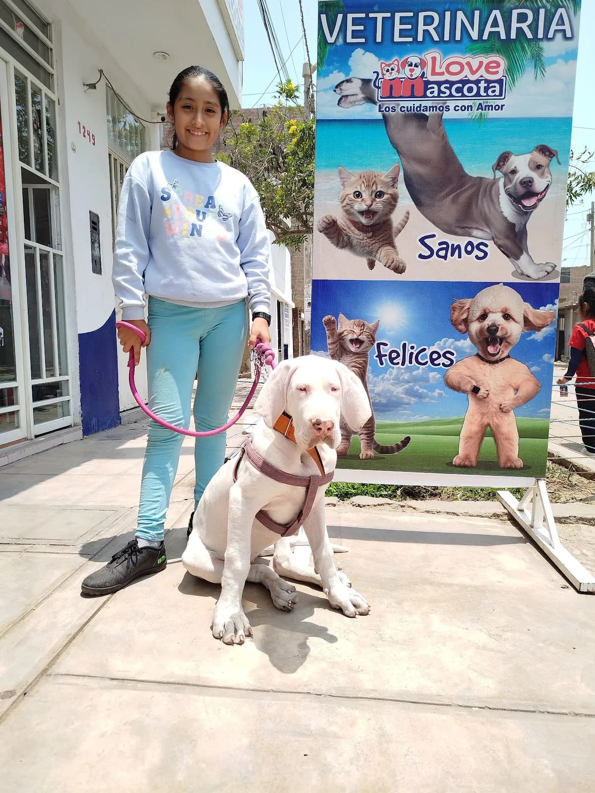 Love Mascota
