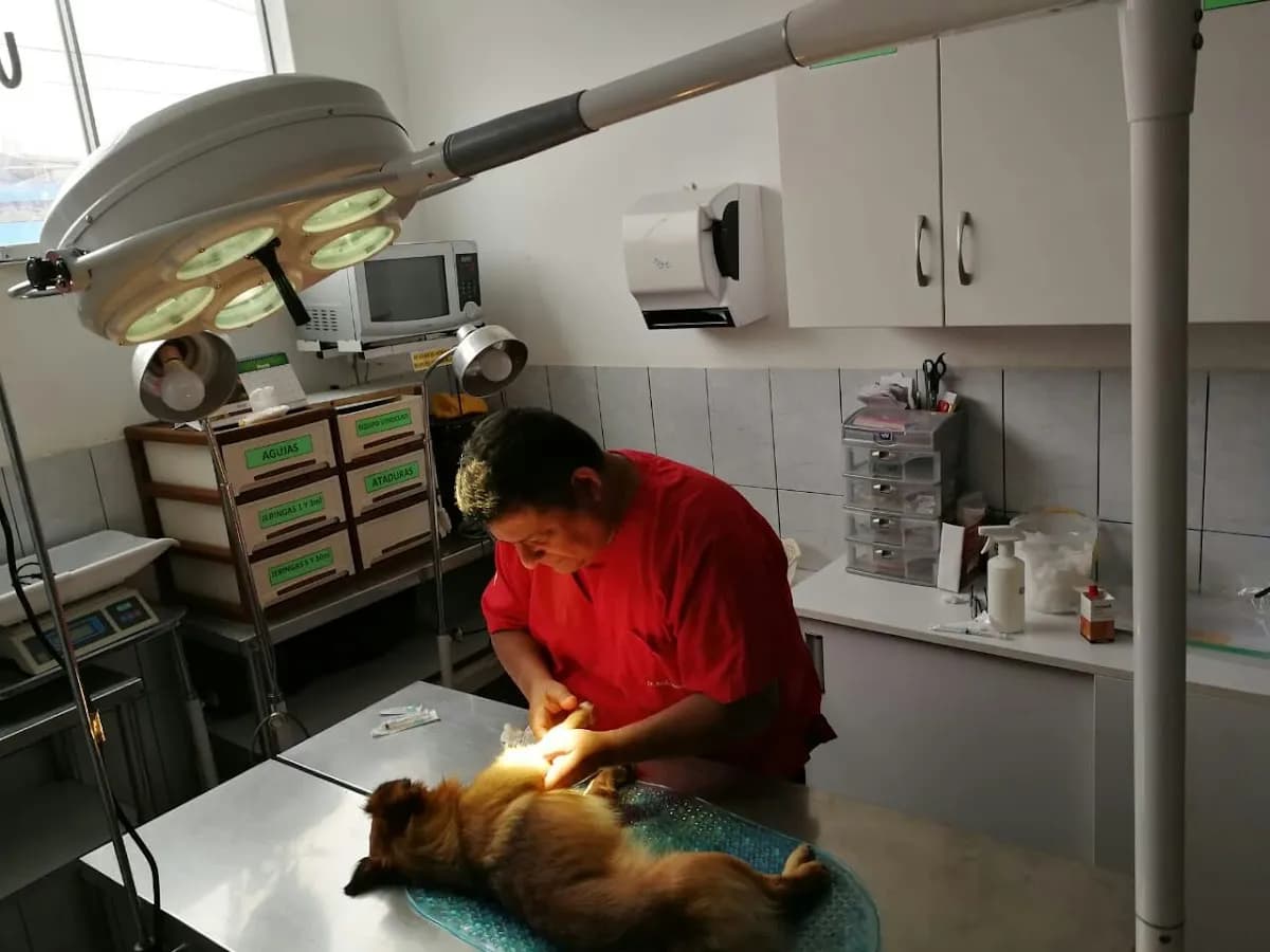 Veterinaria "La Campiña"