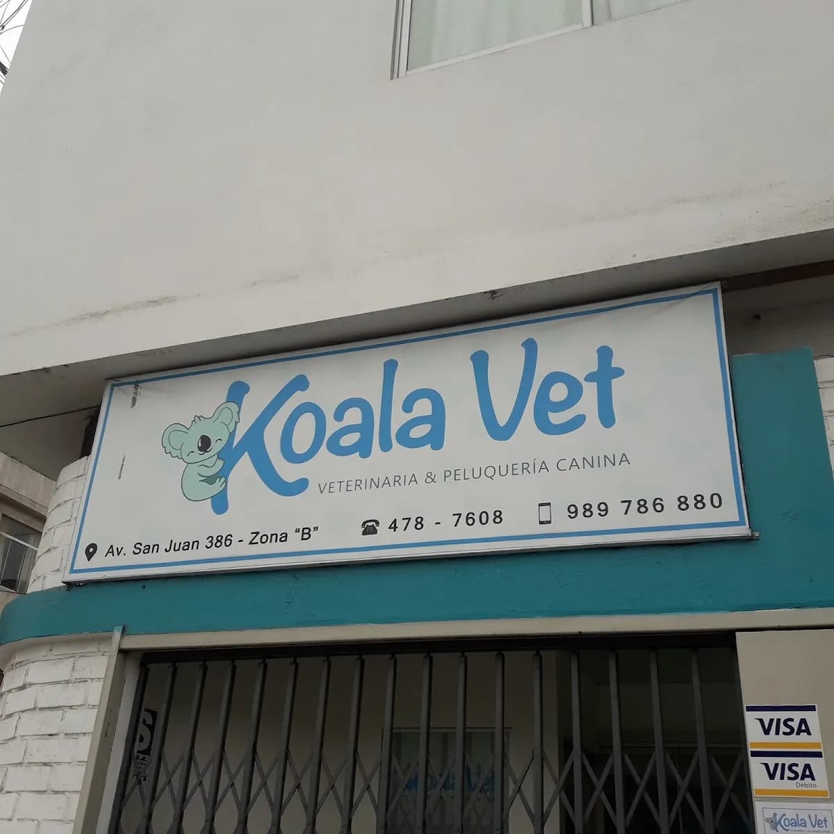 Koala Vet