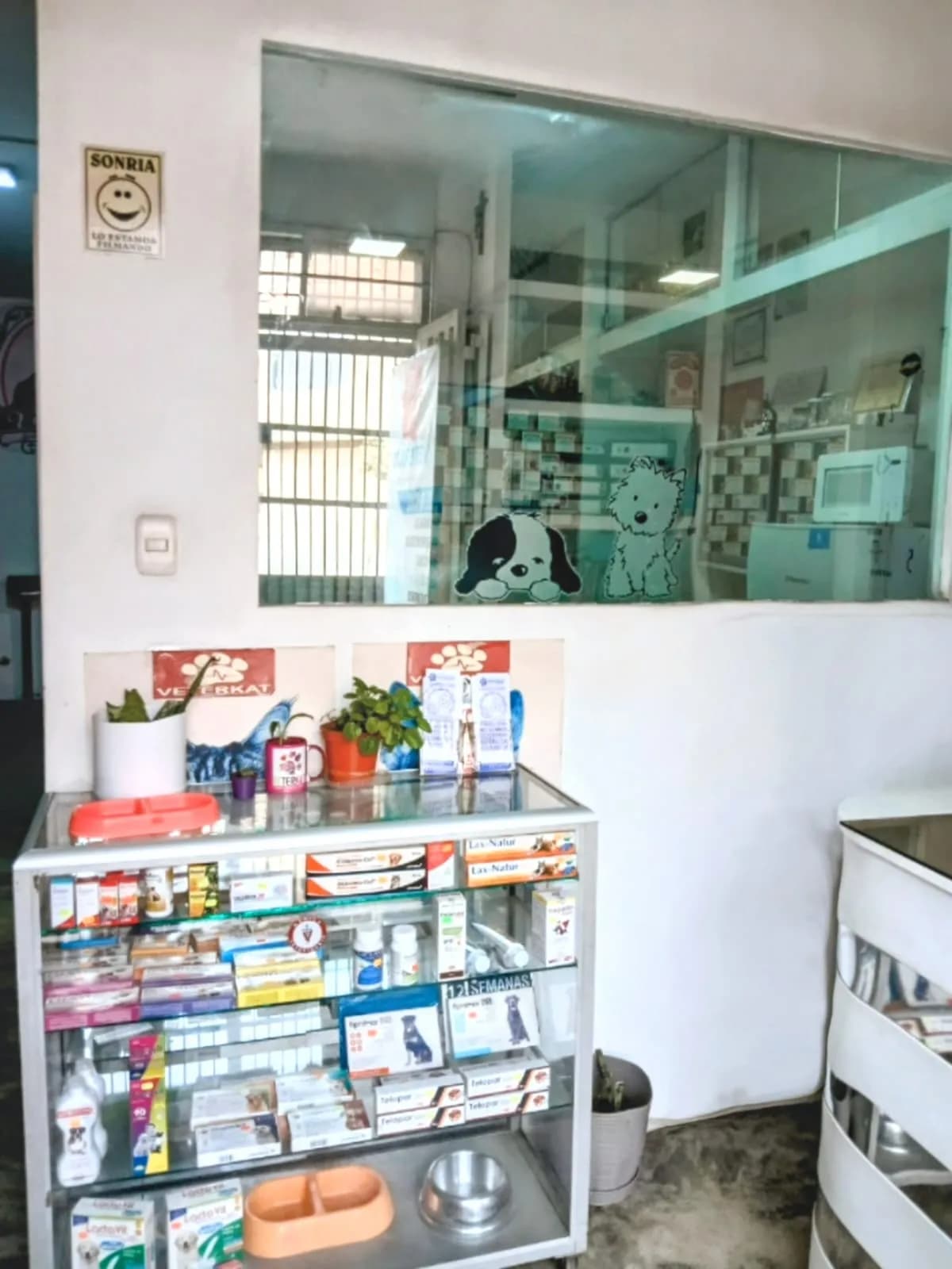 Veterinaria VETERKAT