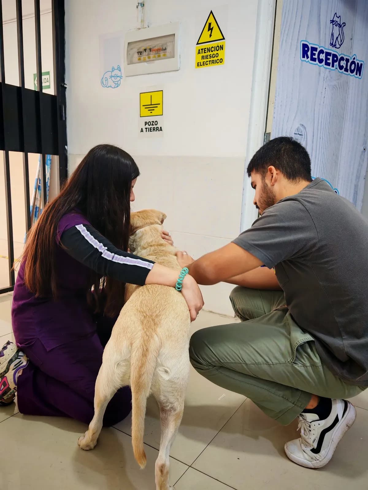 Veterinaria Pet a Pet