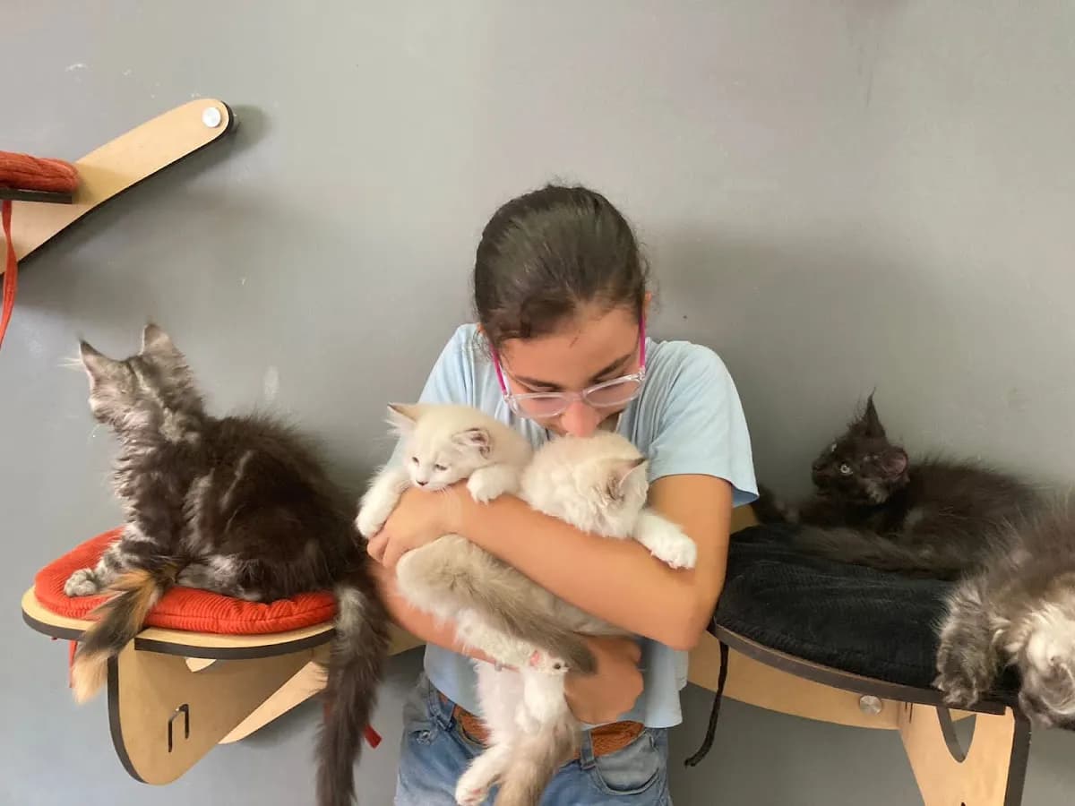 Luhho Pets